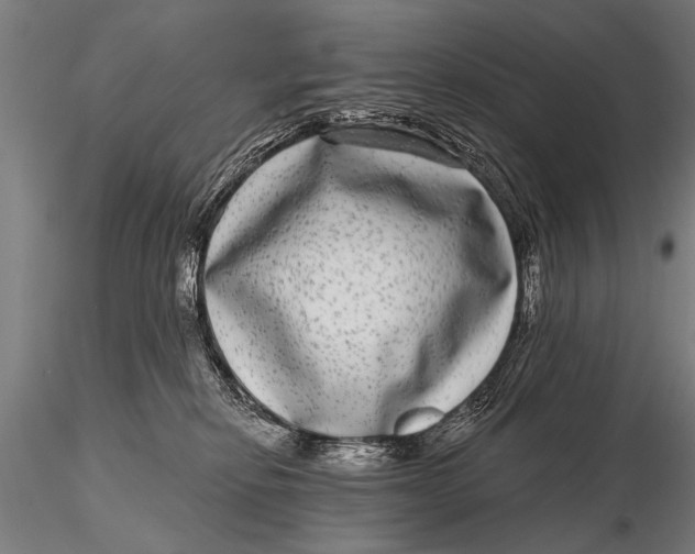 X0000115670278200912031403