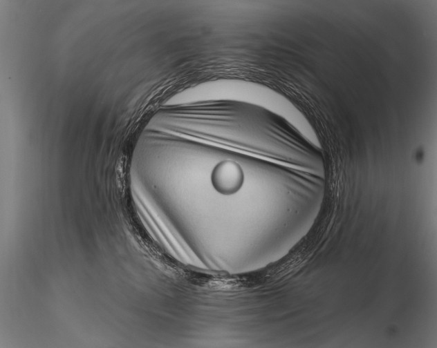 X0000115670280200912031403