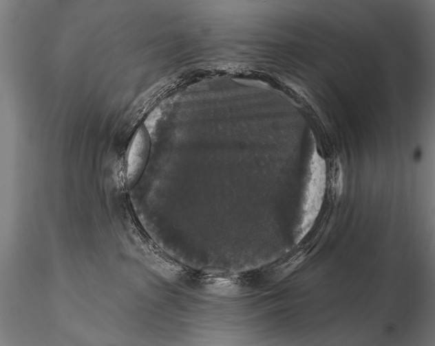 X0000115670285200912031403