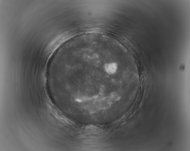 X0000115670290200912031403