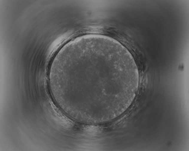 X0000115670293200912031402