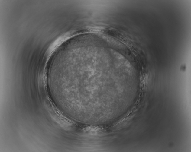 X0000115670294200912031402