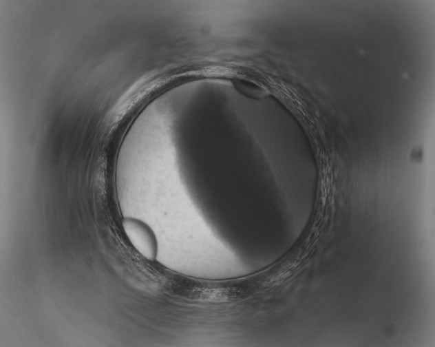 X0000115670295200912031402