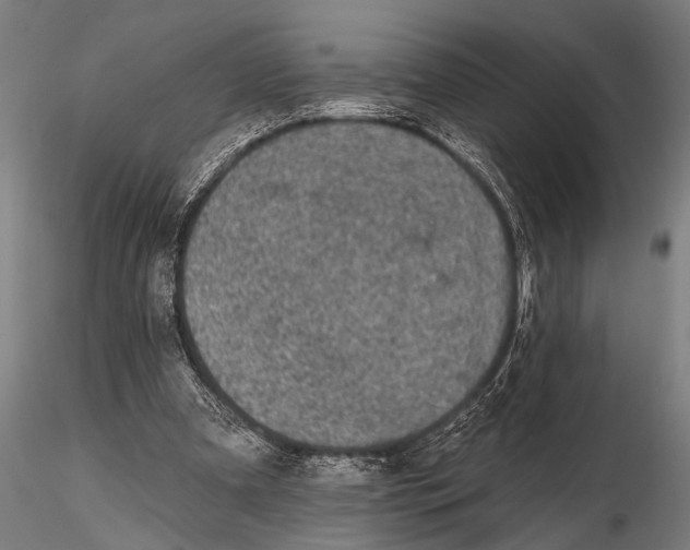 X0000115670297200912031402