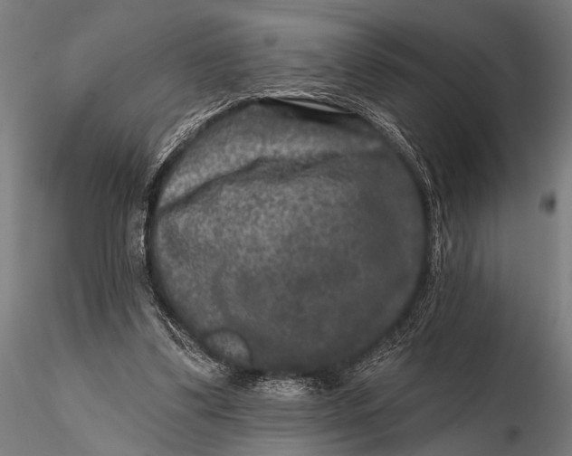 X0000115670299200912031402