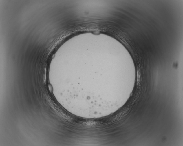 X0000115670301200912031402