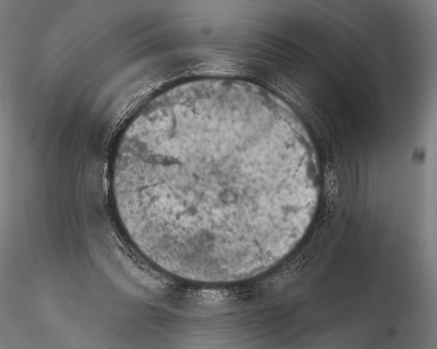 X0000115670302200912031402