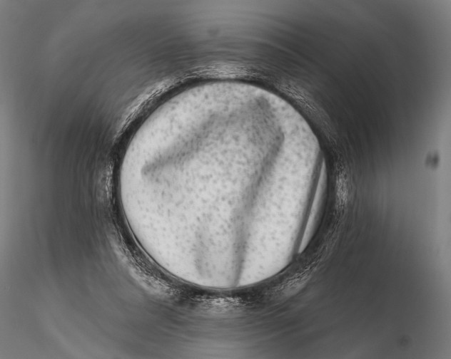 X0000115670304200912031402