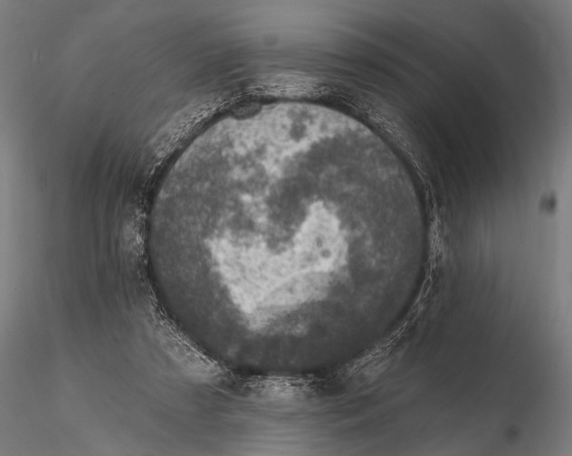 X0000115670305200912031402