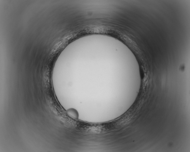 X0000115670306200912031402