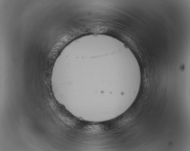 X0000115670307200912031402