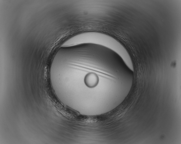 X0000115670308200912031402