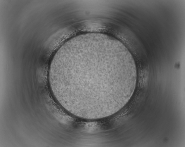 X0000115670309200912031402