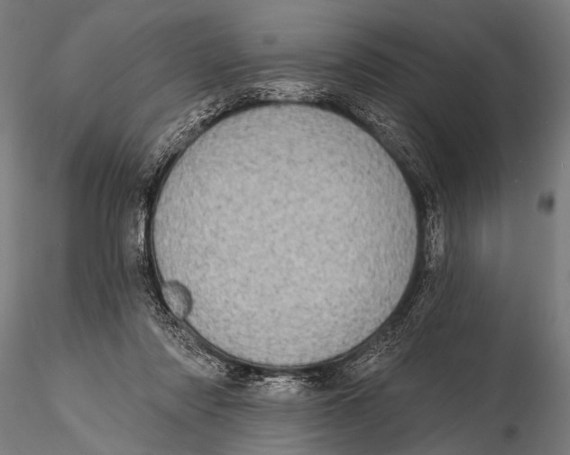 X0000115670310200912031402