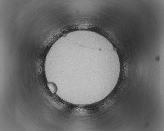 X0000115670311200912031402