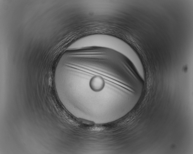 X0000115670313200912031402