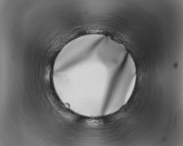 X0000115670315200912031402