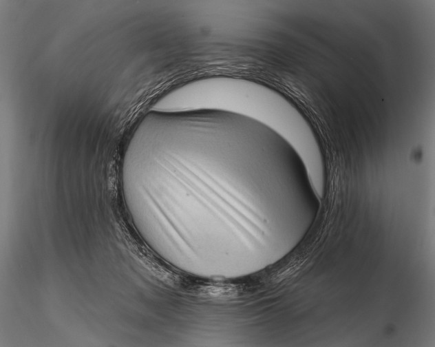 X0000115670317200912031402