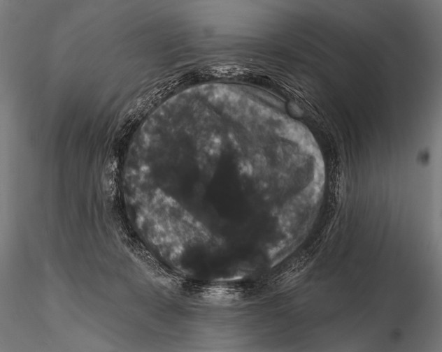 X0000115670319200912031402