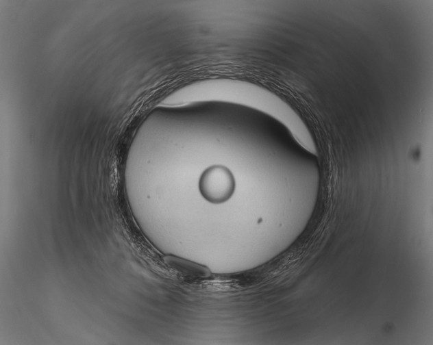 X0000115670320200912031402