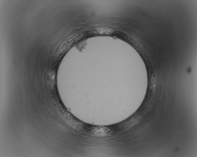 X0000115670321200912031402