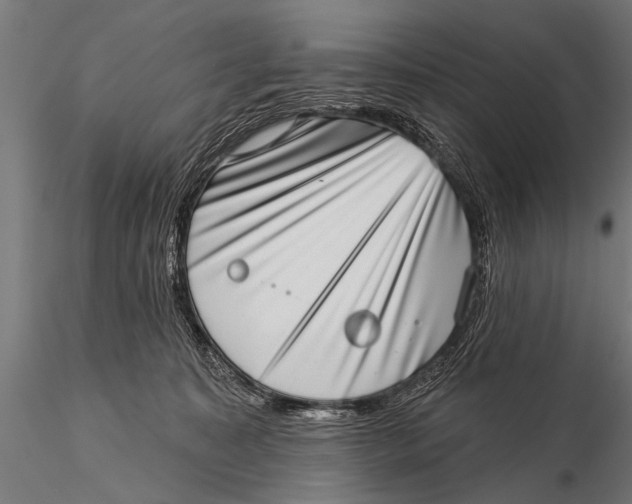 X0000115670323200912031402