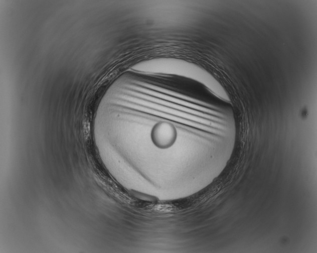 X0000115670324200912031402