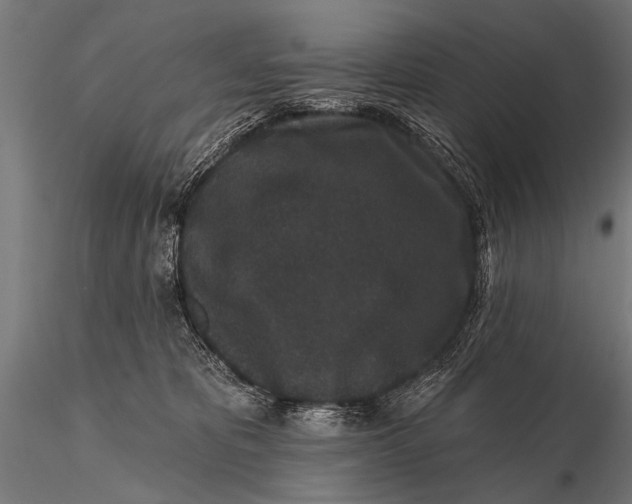 X0000115670325200912031402