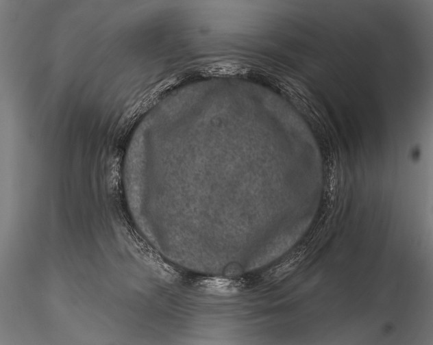 X0000115670326200912031402