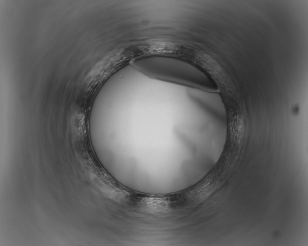 X0000115670327200912031402