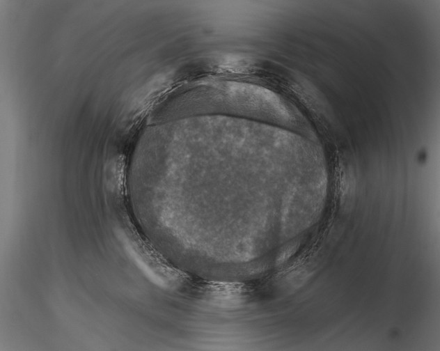 X0000115670328200912031402