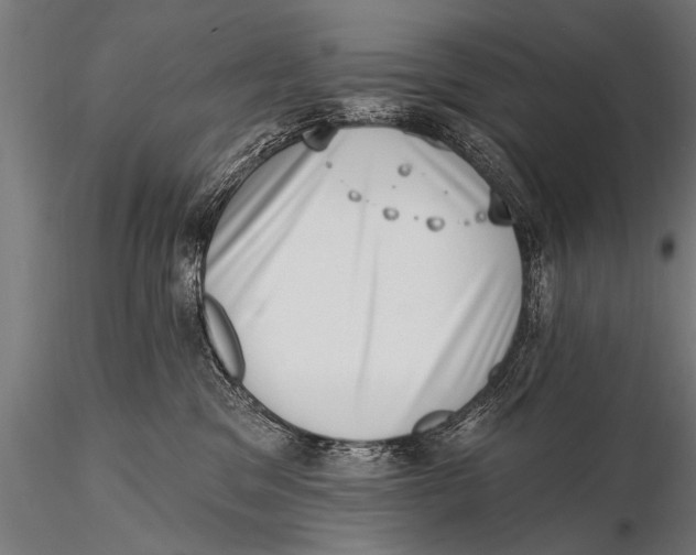 X0000115670329200912031402