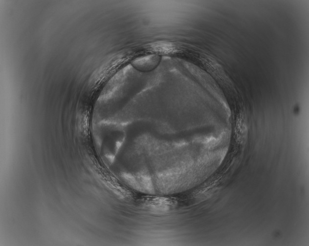 X0000115670330200912031402