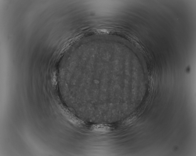 X0000115670331200912031402