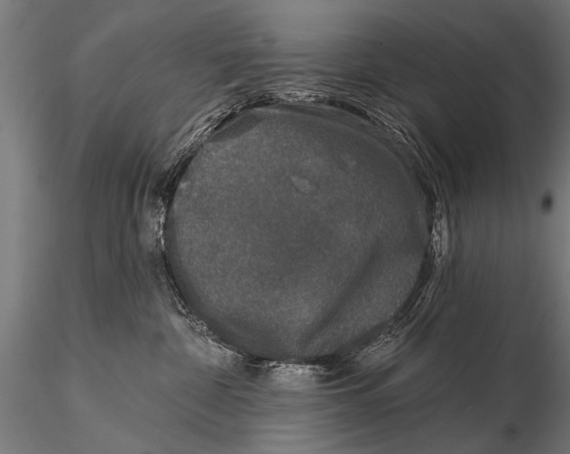 X0000115670332200912031402