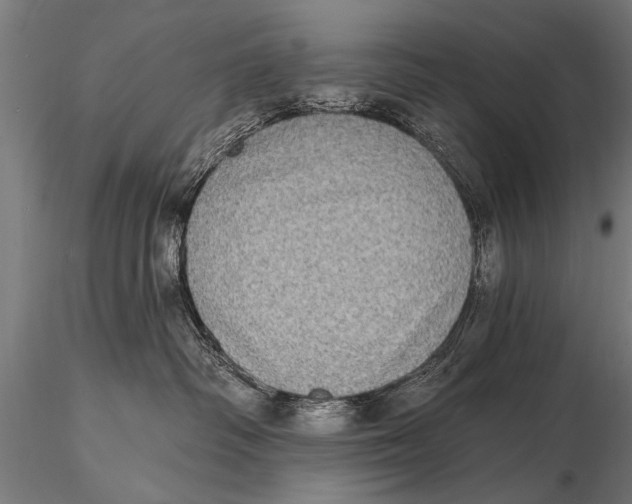 X0000115670334200912031402