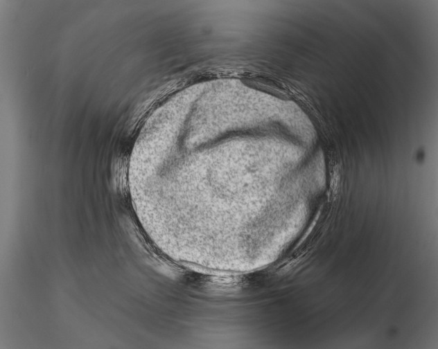 X0000115670335200912031402