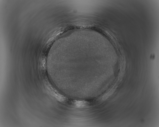 X0000115670336200912031402