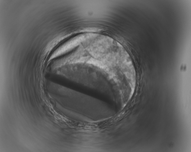 X0000115670337200912031401