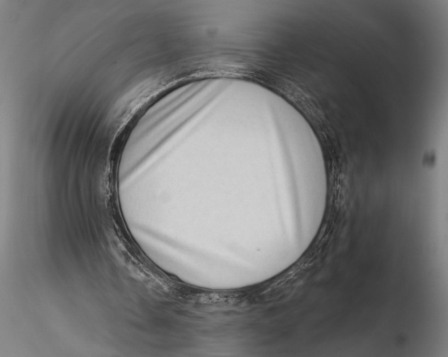 X0000115670338200912031401