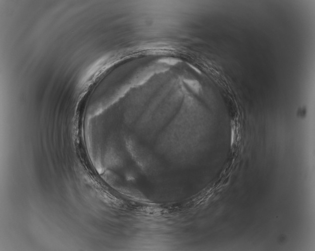 X0000115670339200912031401