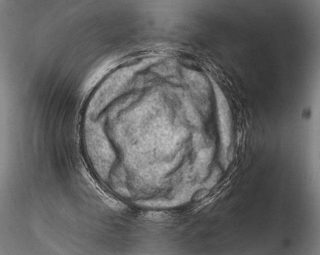 X0000115670341200912031401