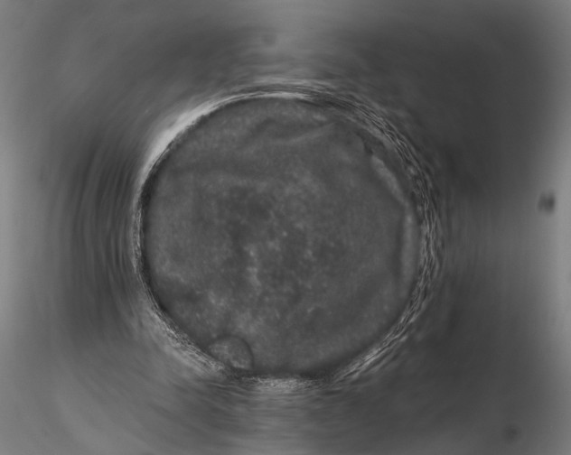 X0000115670342200912031401