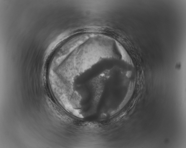 X0000115670343200912031401