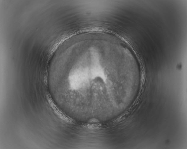 X0000115670345200912031401