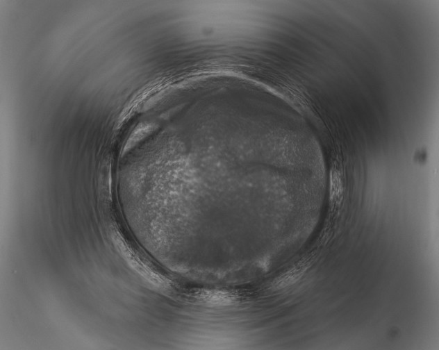 X0000115670349200912031401