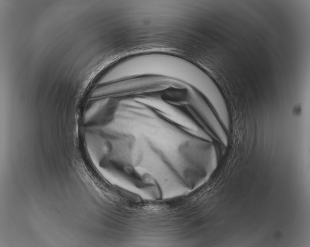 X0000115670350200912031401