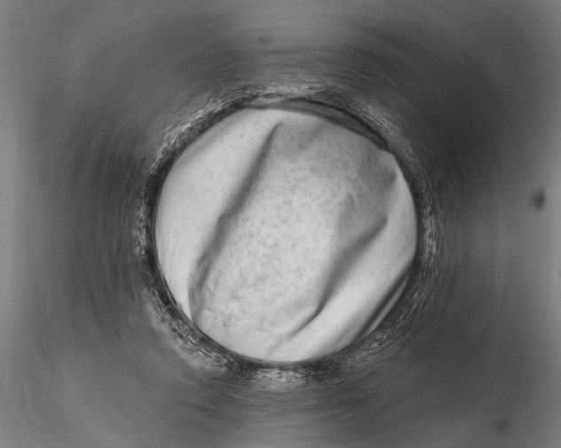 X0000115670354200912031401