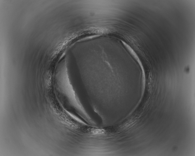 X0000115670355200912031401