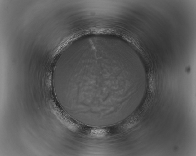 X0000115670357200912031401